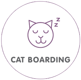 Railway Avenue Veterinary Hospital - Cat Boarding Armadale