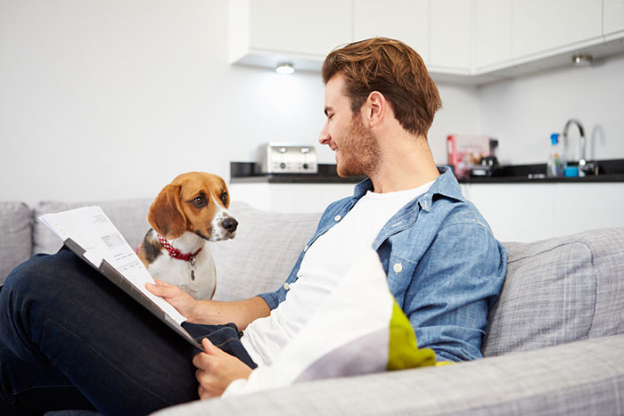 man looking at pet insurance papers