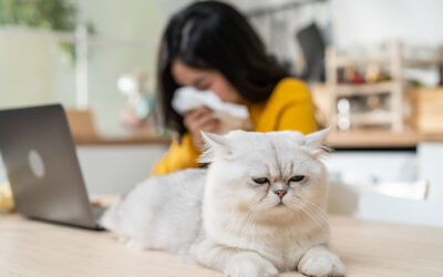 Caring for a Pet When You Are Allergic