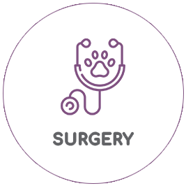 Railway Avenue Veterinary Hospital - Vet Surgery Armadale